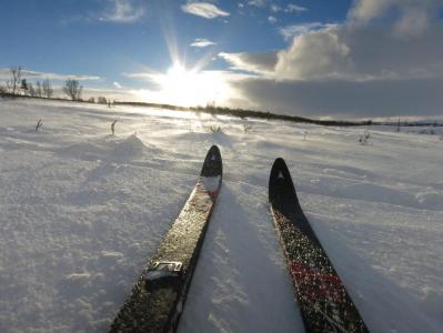 post-13206-0-66398200-1388439981_thumb.j