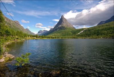 post-1441-0-09966400-1387485254_thumb.jp