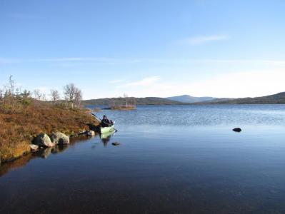 post-3730-0-98802200-1387150572_thumb.jp