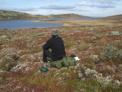 post-4016-0-08717600-1388498401_thumb.jp