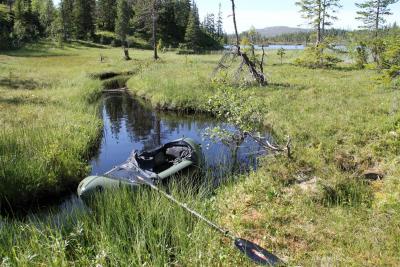 post-4016-0-15348200-1388499353_thumb.jp