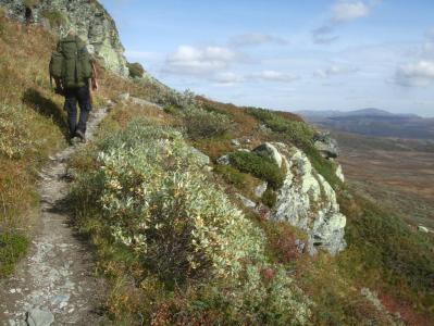 post-4016-0-33929900-1388498359_thumb.jp