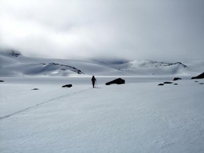 post-4016-0-72380200-1387463017_thumb.jp