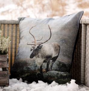 post-4220-0-17005900-1388048465_thumb.jp