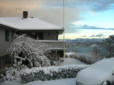 post-4220-0-96522600-1386406490_thumb.jp