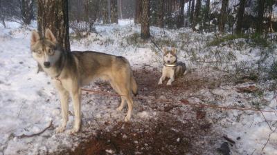 post-8488-0-07115600-1387112905_thumb.jp