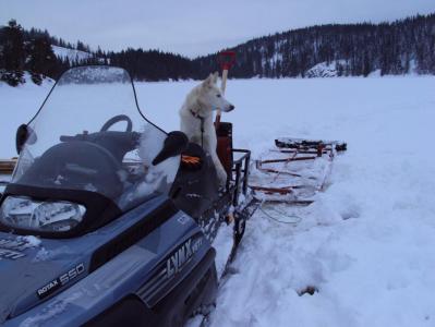 post-8614-0-00396400-1388099893_thumb.jp