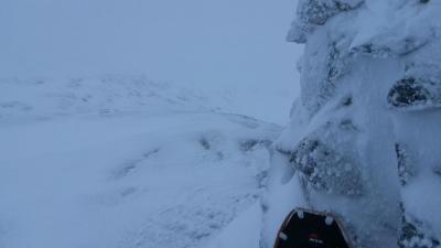 post-10226-0-25636500-1419975544_thumb.j