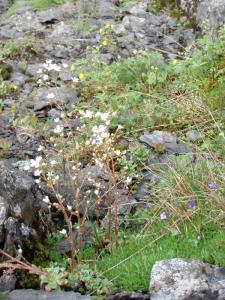 post-1073-0-16301700-1418207293_thumb.jp