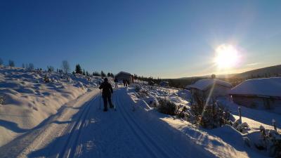 post-12705-0-37270300-1419627836_thumb.j