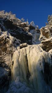 post-12705-0-87153300-1419627864_thumb.j