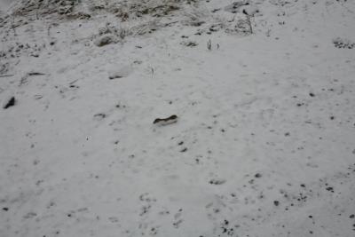 post-13093-0-71127400-1418340999_thumb.j