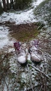 post-13093-0-82323200-1418343544_thumb.j