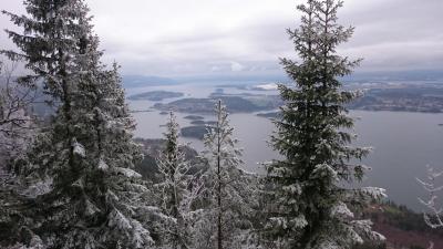 post-13093-0-96577200-1418344441_thumb.j