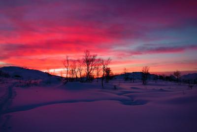 post-14504-0-18865300-1418575715_thumb.j