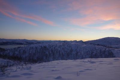 post-14504-0-68538000-1418573494_thumb.j