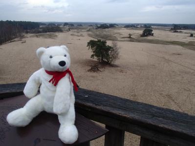 post-2058-0-19244400-1418073732_thumb.jp