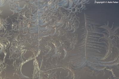 post-2690-0-93252000-1418243152_thumb.jp