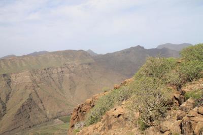 post-4016-0-01967600-1418662210_thumb.jp