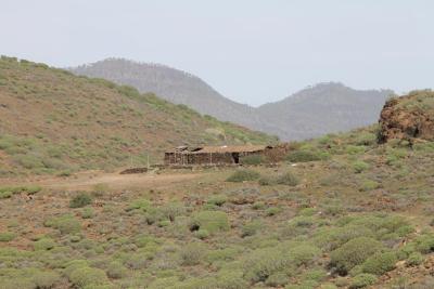 post-4016-0-63092500-1418662232_thumb.jp