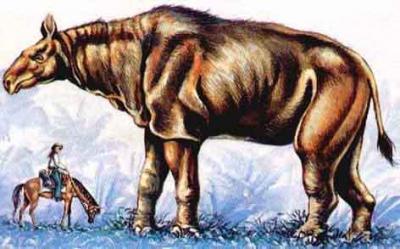 post-4220-0-08287700-1417517653_thumb.jp