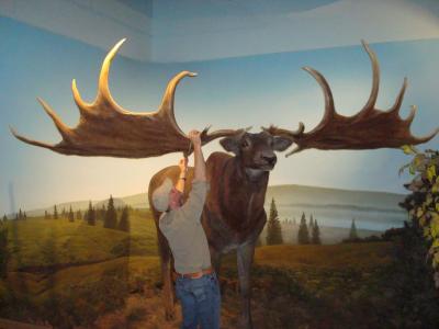 post-4220-0-20548500-1417517791_thumb.jp