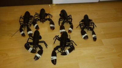 post-4220-0-23381800-1419419901_thumb.jp