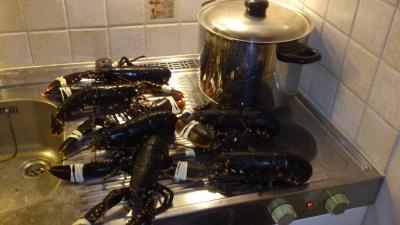 post-4220-0-67398300-1419419917_thumb.jp