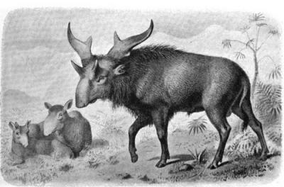 post-4220-0-83984100-1417517733_thumb.jp