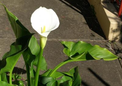 post-4220-0-89008600-1418257338_thumb.jp