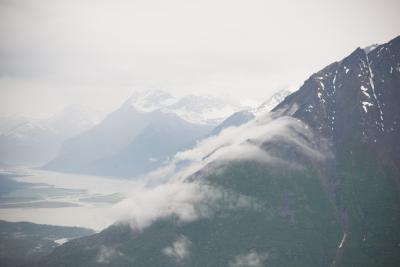 post-6350-0-39338700-1419110780_thumb.jp