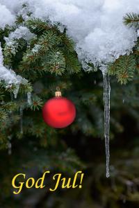 post-8333-0-52789200-1419426586_thumb.jp