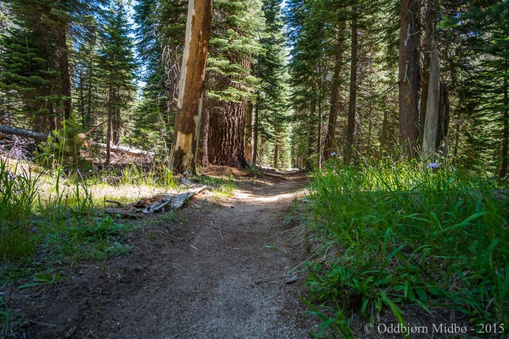 Dag1-4182.thumb.jpg.9ddae4344629a0ab941c