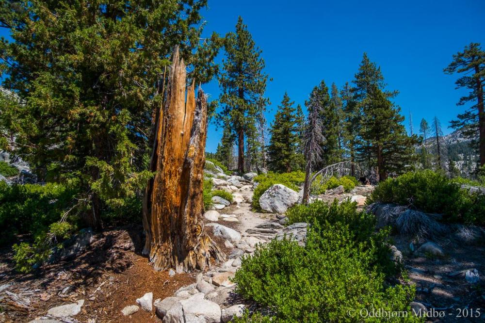 Dag1-4184.thumb.jpg.384e81a894db163f9b90