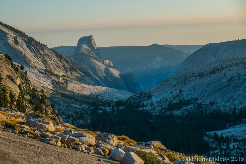 Dag2-4336.thumb.jpg.e7b8d192fd5933e8a4ae