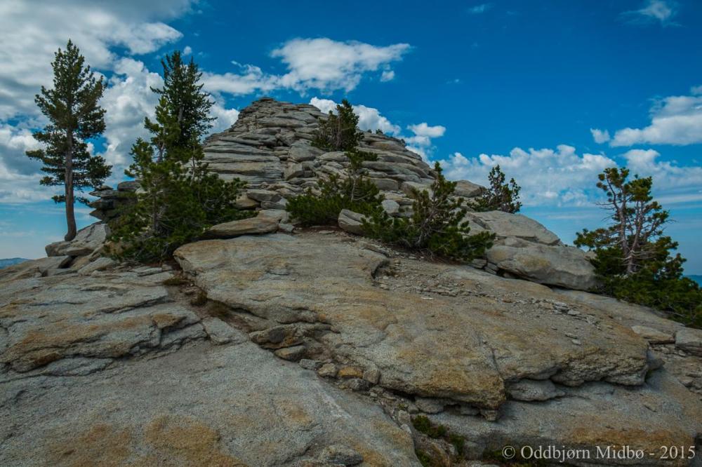 Dag3-4407.thumb.jpg.0900aa2be5b916c0c4a0