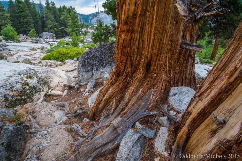 Dag3-4674.thumb.jpg.d5688636ac16edcd82f9