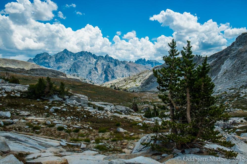 Dag5-5122.thumb.jpg.406f48256afff7e82360