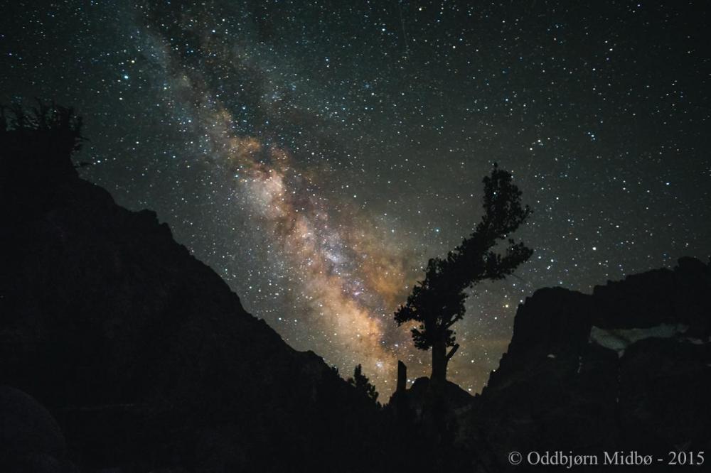 Dag7-5561-2.thumb.jpg.f9bb938b6449f00fb6