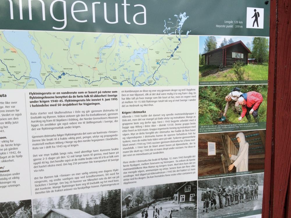 IMG_0022.thumb.jpg.ce439babf079922b5bc38