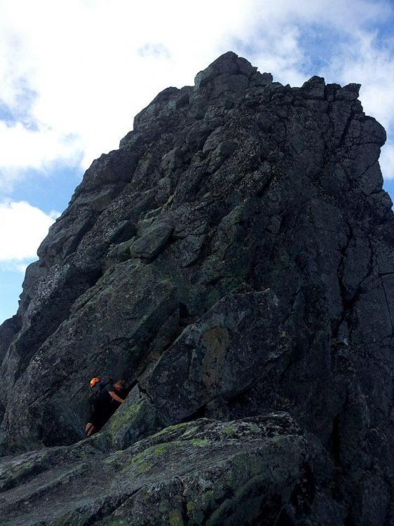 427281_10151997348960456_110254627_n.thu