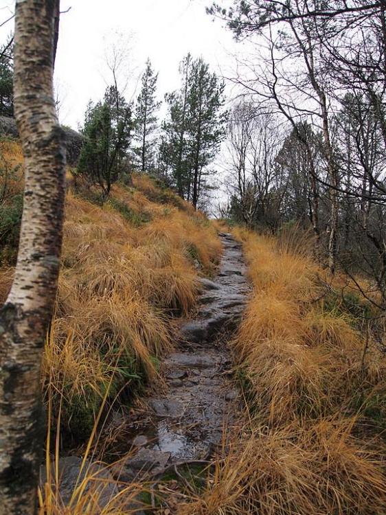 563668a5b9232_Hstvtsti(PB010327).thumb.J