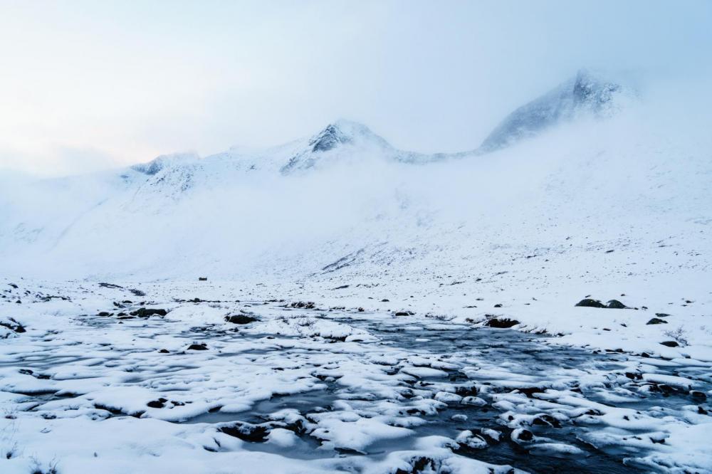 5648f49e638ec_Horndalen(1of1)-7.thumb.jp