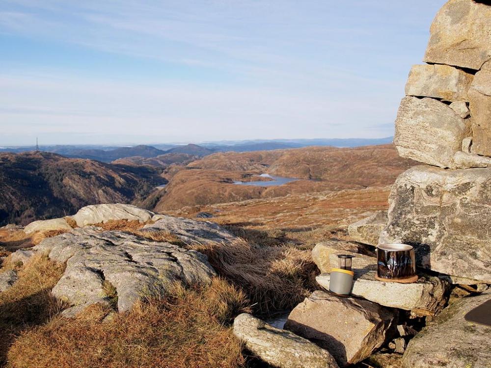 565210488cae3_Kaffekoking(PB220347).thum