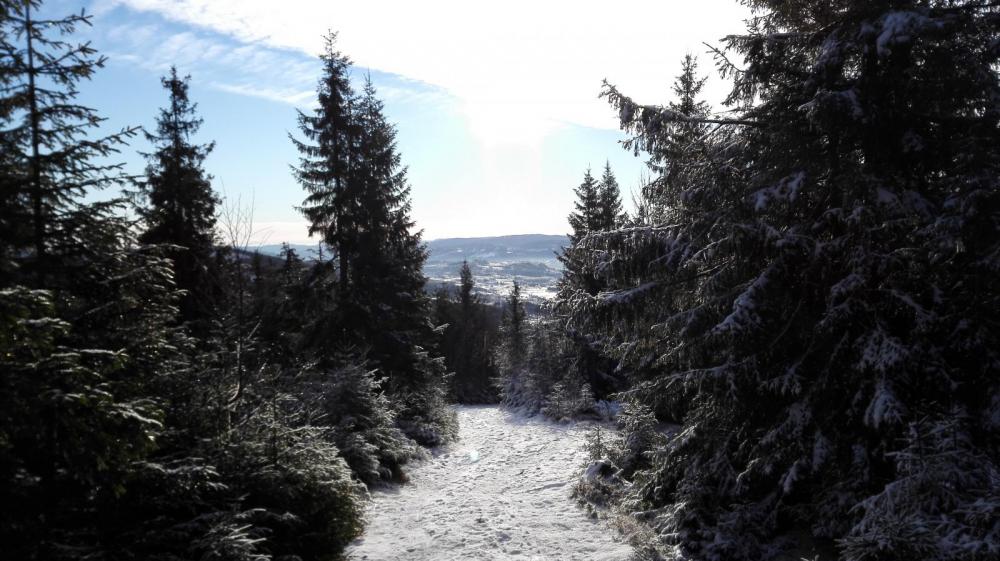 2015-11-22 12.15.43.jpg