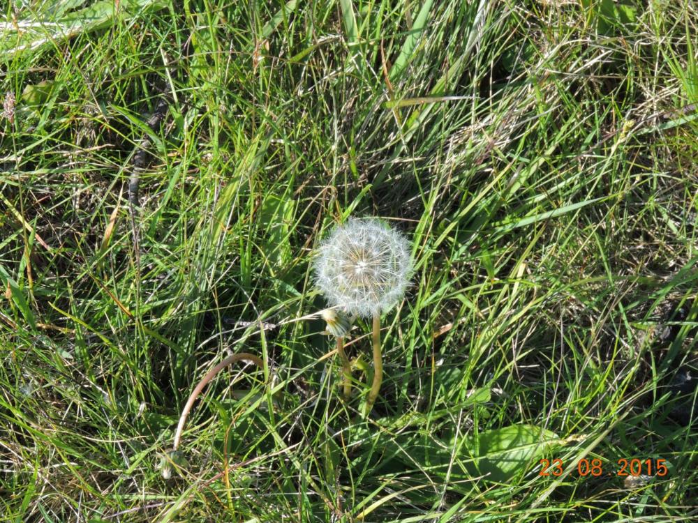 DSCN3992.thumb.JPG.2df3984af489e16d648b0