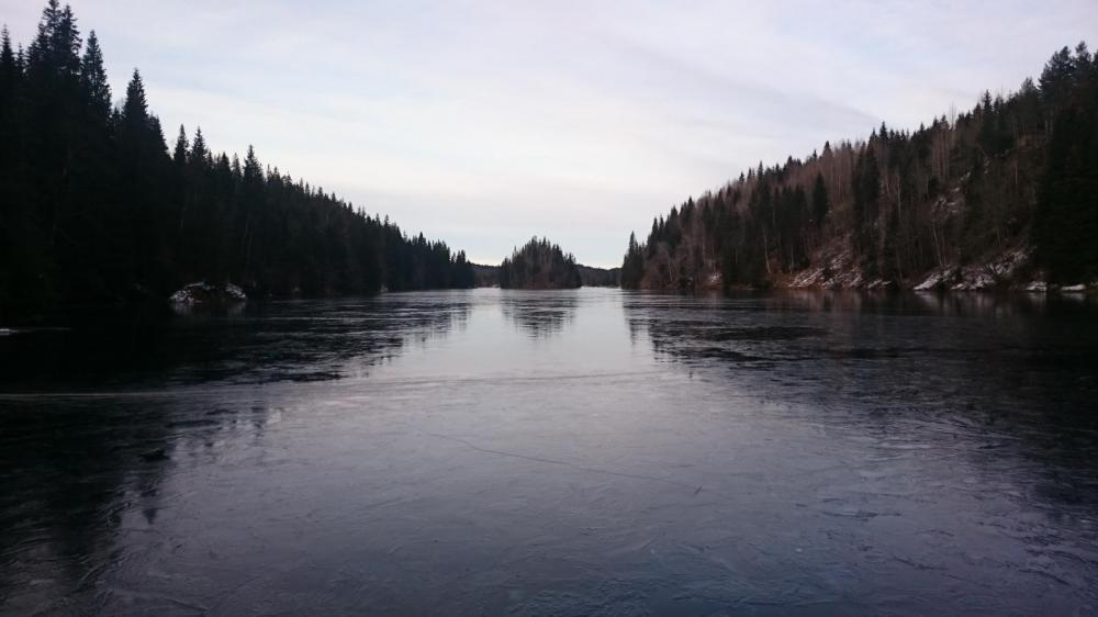 DSC_0148.thumb.JPG.3a399d63b984386e50011