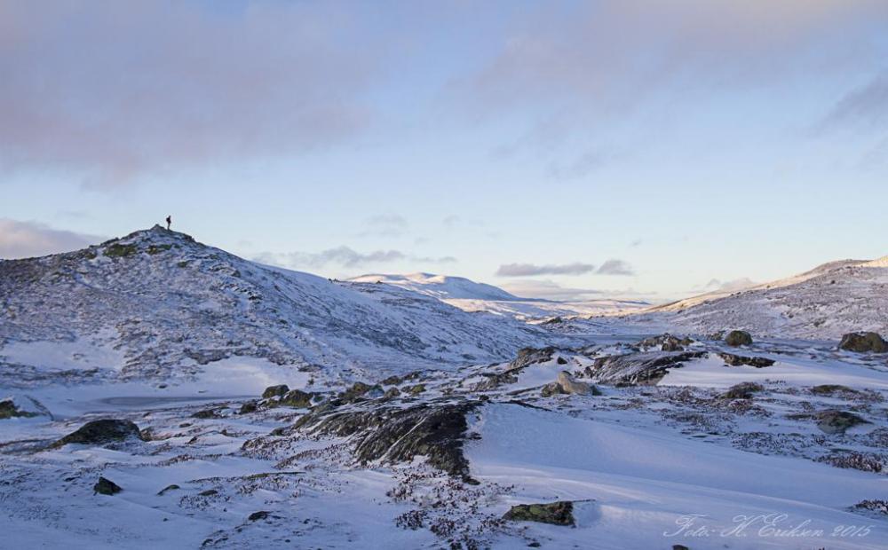 IMG_7534.thumb.jpg.aa18832481bd3ca567fff