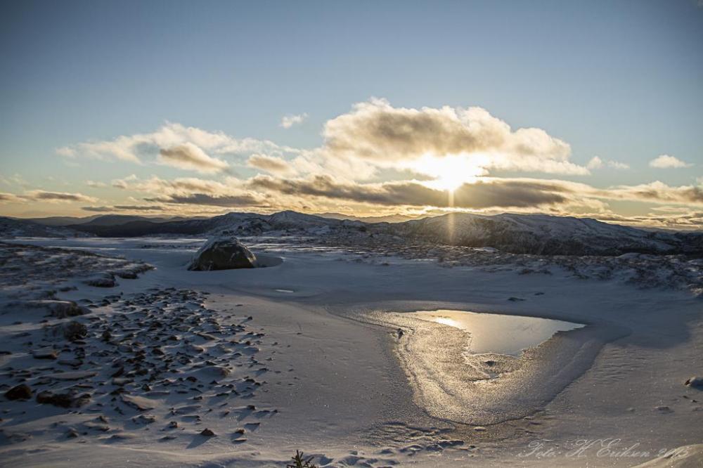 IMG_7572.thumb.jpg.adcabf6989bb62ee6573a