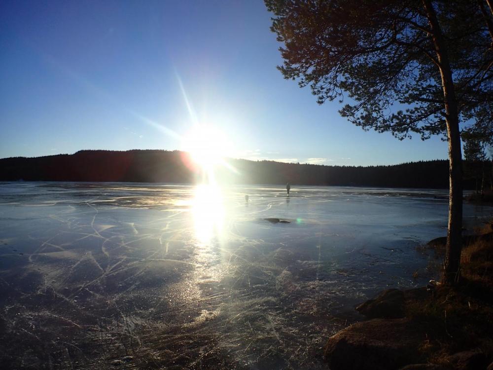 P1040098.thumb.JPG.0ca1e1b69a87de3e8f07b